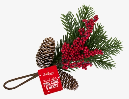 Christmas Pine Cone & Berry Decoration - Illustration, HD Png Download, Free Download
