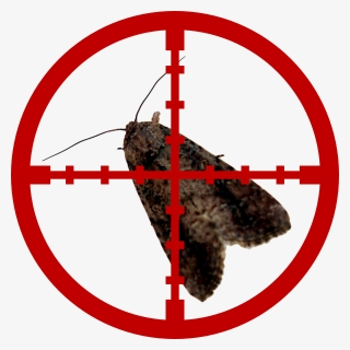 Moths - Crosshair Png, Transparent Png, Free Download