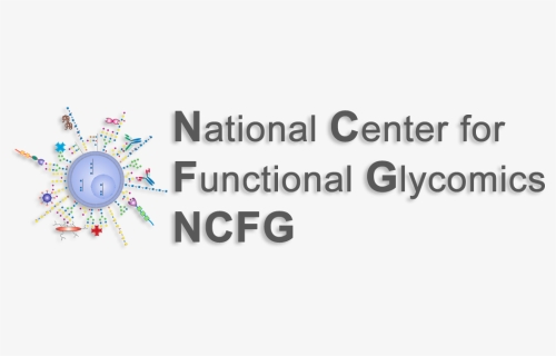 University Logo - National Center For Functional Glycomics, HD Png Download, Free Download