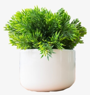 #plantpot #plant #plants #bush #greenery #astethic - Plants To Keep On Office Desk, HD Png Download, Free Download