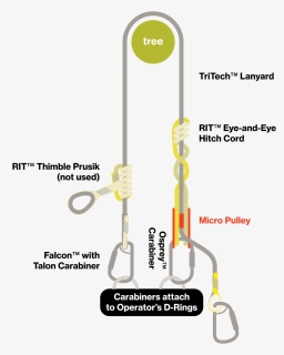 Up Lanyard Illustrations-02 - Arborist Work Positioning Lanyard, HD Png Download, Free Download