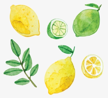 Artist Series Stickers - Lime And Lemon Stickers Png, Transparent Png, Free Download