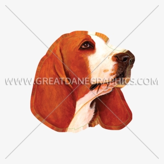 Transparent Pekingese Clipart - Beagle-harrier, HD Png Download, Free Download