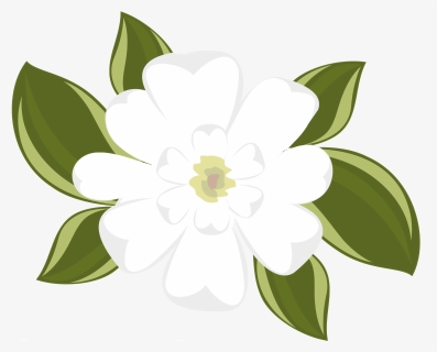 Southern Magnolia Clip Art, HD Png Download, Free Download