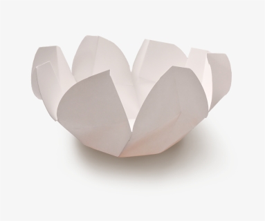 Magnolia Side Open - Construction Paper, HD Png Download, Free Download