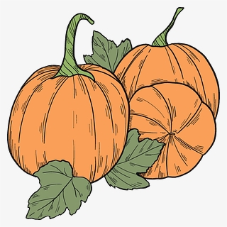 Pumpkin Patch Clipart - Pumpkin, HD Png Download, Free Download
