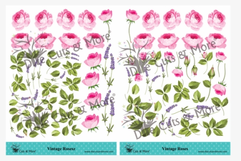 Vintage Roses - Orchid, HD Png Download, Free Download