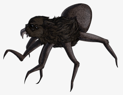 Sphecidae, HD Png Download, Free Download