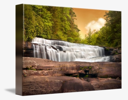 Hd Pc - Dupont State Forest, HD Png Download, Free Download