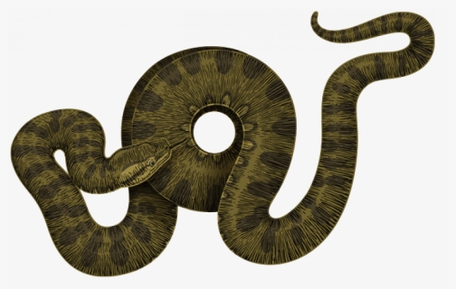 Anaconda Snake Png, Transparent Png, Free Download