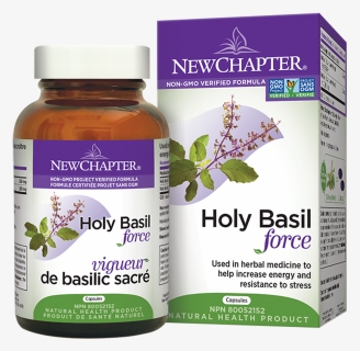 Basil Png, Transparent Png, Free Download