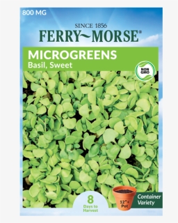 Basil Sweet Microgreen Seed - Seed, HD Png Download, Free Download