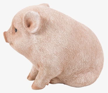 Png Women Breastfeeding Piglets - Domestic Pig, Transparent Png, Free Download