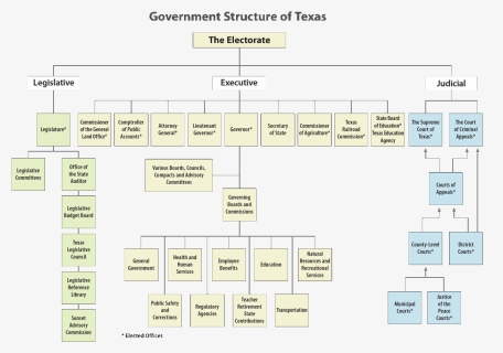 Image Result For Texas State Government Organizational - Texas State Government Chart, HD Png Download, Free Download
