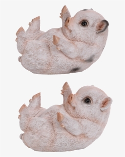 Piglet Lying Ass - Chinchilla, HD Png Download, Free Download