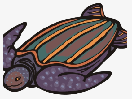 Sea Turtle Clipart Pond Turtle - Cartoon Leatherback Turtle Drawing, HD Png Download, Free Download