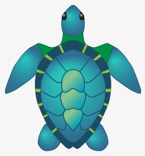 Sea Turtle Hires - Cartoon Transparent Sea Turtle, HD Png Download, Free Download