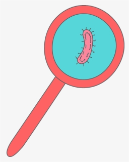 Bacteria In A Magnifying Glass Clipart, HD Png Download, Free Download