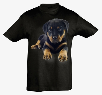 Rottweiler Cub T Shirt Kids - Companion Dog, HD Png Download, Free Download
