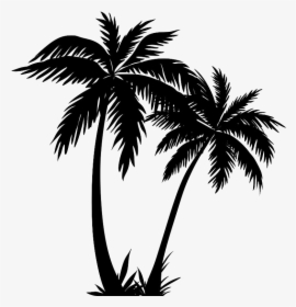 Silhouette Palm Trees Clip Art Drawing Vector Graphics - Palm Tree Silhouette Transparent, HD Png Download, Free Download