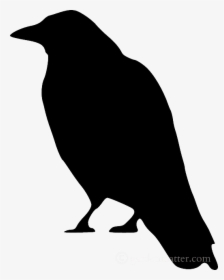 Scary Bird Silhouette For Halloween - Crow Clip Art, HD Png Download, Free Download
