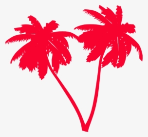 Palm Tree Vector Png, Transparent Png, Free Download