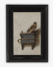 Goldfinch A Real Story, HD Png Download, Free Download