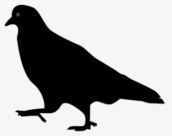 Bird, Pigeon, Silhouette, Stepping, Walking - Pigeon Png Silhouette, Transparent Png, Free Download