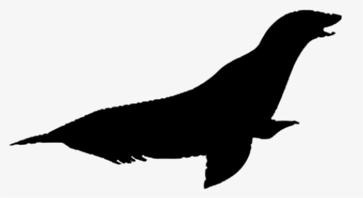 Sea Lion Silhouette - Silueta Del Lobo De Mar, HD Png Download, Free Download