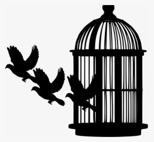 Cage Without A Bird, HD Png Download, Free Download
