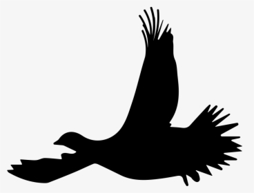 Grouse Bird Flying Silhouette - Flying Grouse Silhouette, HD Png Download, Free Download