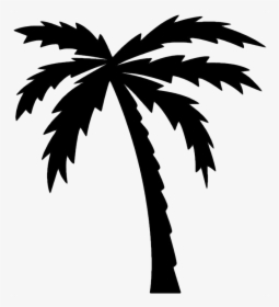 Flamingo And Palm Tree, HD Png Download, Free Download