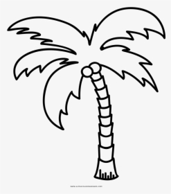 Palm Tree Coloring Page - Palm Tree Line Art, HD Png Download, Free Download