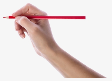 Transparent Hand Pencil - Pencil In Hand Png, Png Download, Free Download