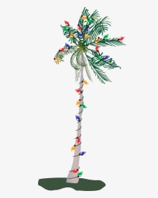 Christmas Palm Tree Png, Transparent Png, Free Download