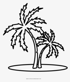 Palm Tree Coloring Page - Illustration, HD Png Download, Free Download