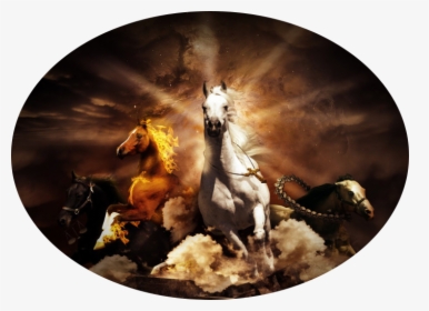 Horses - Vision Of Zechariah Chapter 5, HD Png Download, Free Download