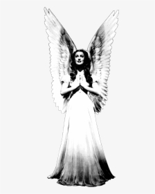Angel, HD Png Download, Free Download