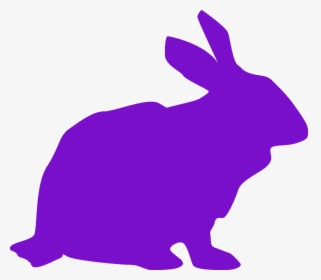 Transparent Rabbit Icon Png - Domestic Rabbit, Png Download, Free Download