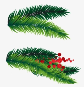 Transparent Leaf Clipart Png - Christmas Tree Branch Png, Png Download, Free Download