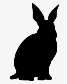 A Cute Cartoon Rabbit Vector - Domestic Rabbit, HD Png Download - kindpng