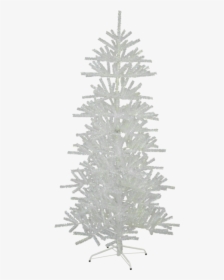 Christmas Tree Sparkle - Christmas Tree, HD Png Download, Free Download