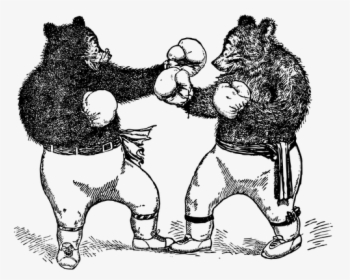 Boxing Bears Vector - Bear With Boxing Gloves, HD Png Download, Free Download