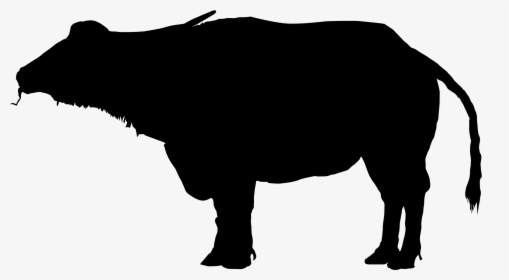 Transparent Baby Silhouette Png - Buffalo Clipart, Png Download, Free Download