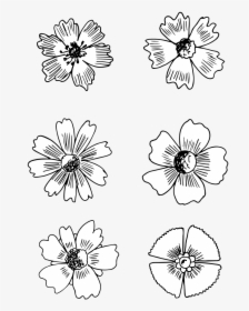 Drawing , Png Download - Daisy, Transparent Png, Free Download