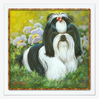 Puppy Clip Apso - Black And White Shih Tzus, HD Png Download, Free Download