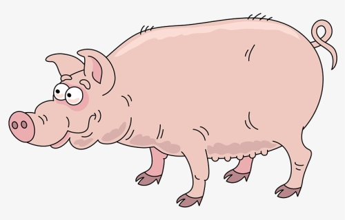 Pig Clipart - Domestic Pig, HD Png Download, Free Download