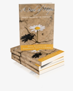 Ash Cover Stack Fiverr - Camomile, HD Png Download, Free Download