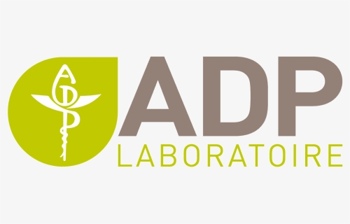 Carr Workplaces Logo , Png Download - Adp Laboratoire Logo, Transparent Png, Free Download