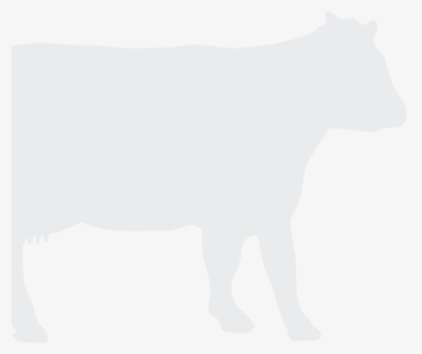 Cattle , Png Download, Transparent Png, Free Download